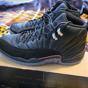 Mens Jordan 12's